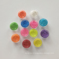 Le plus chaud PET Poudre Glitter 12pcs Nail Art Glitter Powder Set